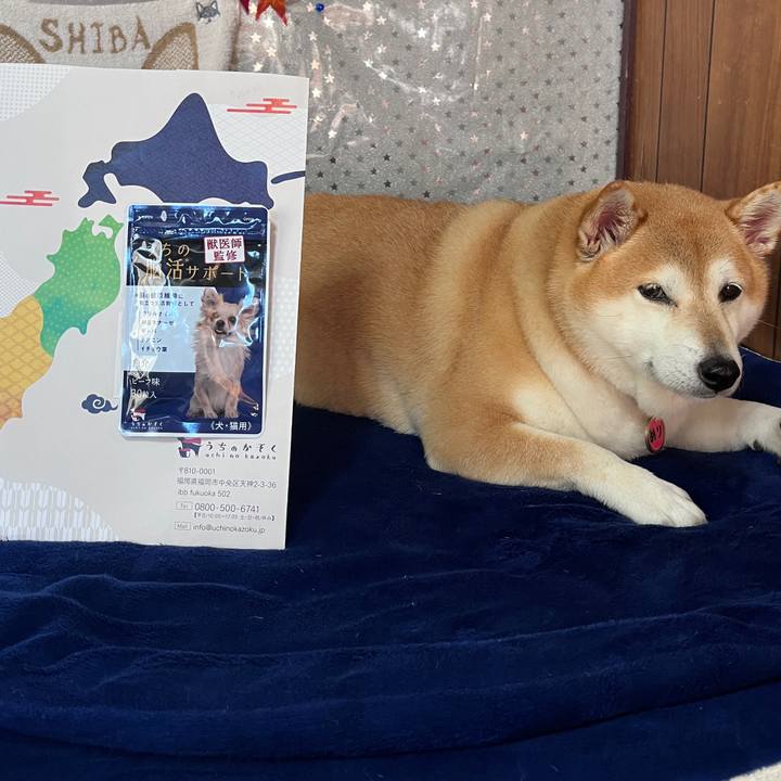 B8ccaba0 4a4f 444f b8b7 606a1a5ffec1 1700373540692