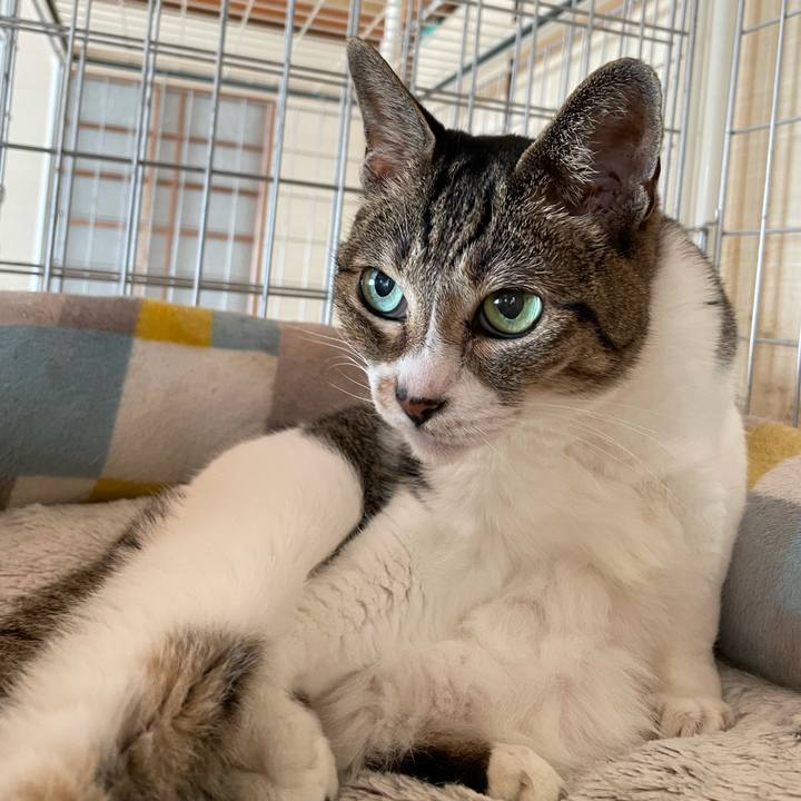 B8ccb42e c958 4266 a452 39bc930225ea 1634176741638