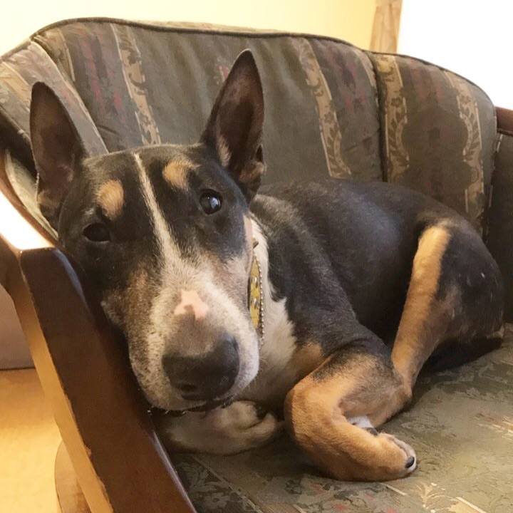 B8cccc74 f67e 4ae1 a1e1 fbc37041a6b2 1510992442003