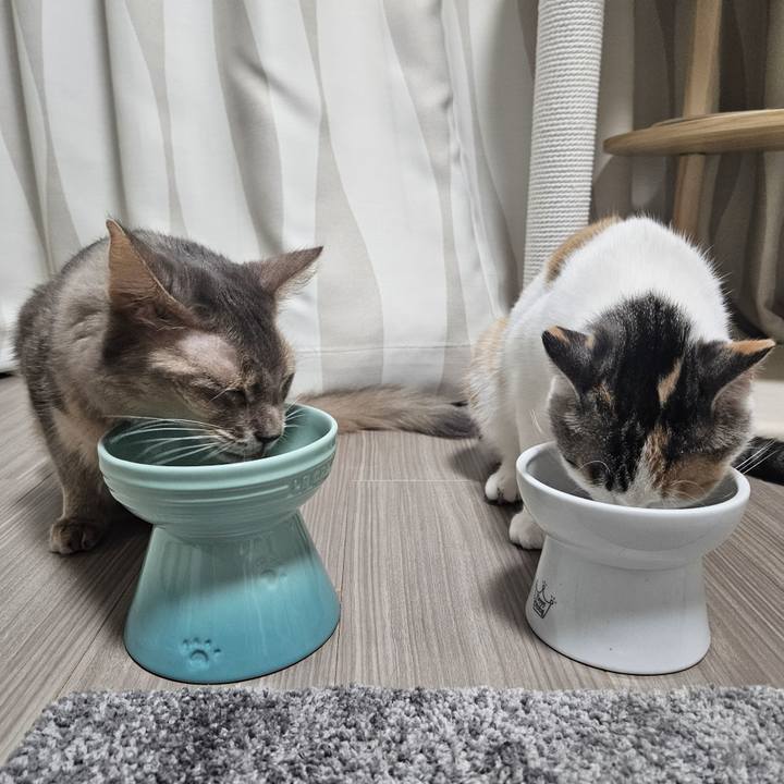 B8ccd306 e0e8 4873 af0a cc8a1b7a751a 1756734147160