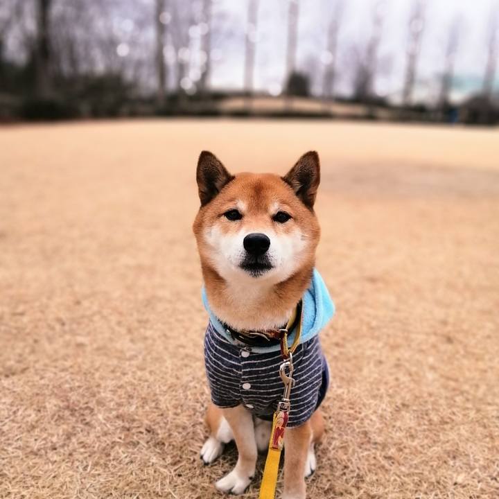 B8ccf34c b619 4fdf 878e a3fb9cf9a7f1 1610673952662