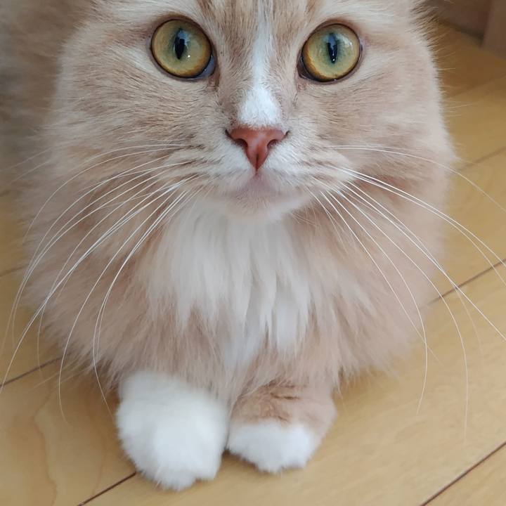 B8cd04cd 69b7 4503 9ea4 72d611fa60d8 1737859908746