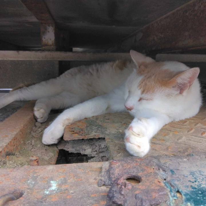 B8cd071b 5c95 4331 9e2a 5c02f21de6b9 1691711120469