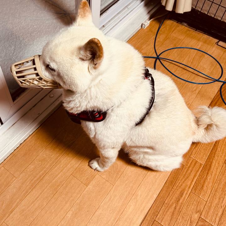 B8cd0a1f c830 4a62 b60d 8c7138712ac3 1768947736609