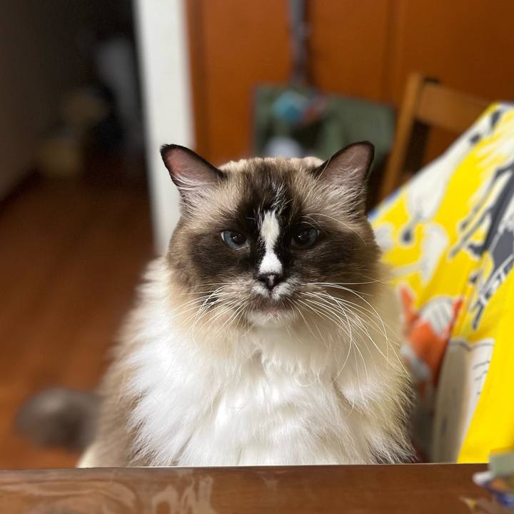 B8cd16ec 7ef9 414d 9e1f 72ba948cfca6 1731931258001