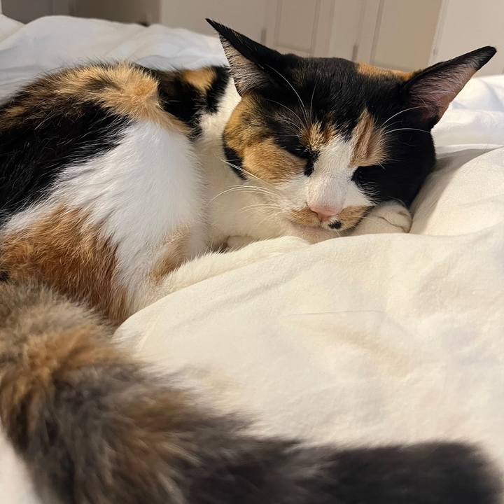 B8cd309a db2f 4e74 81ed 532ea67a9e67 1686971772017