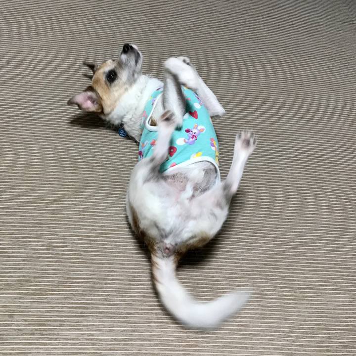 B8cd5a72 b42a 49af b005 39c606f1a0a1 1630390518391