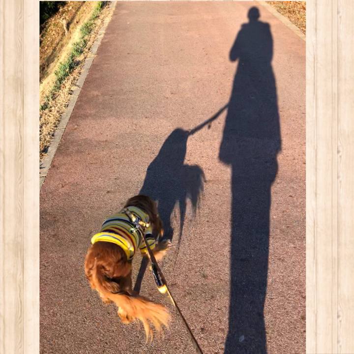 B8cd8f57 045a 4a7b bb48 64f7134d30f2 1610155254269