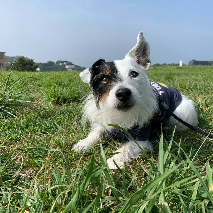 B8cdef02 448b 498a 83c7 3c17829961df 1681948871273