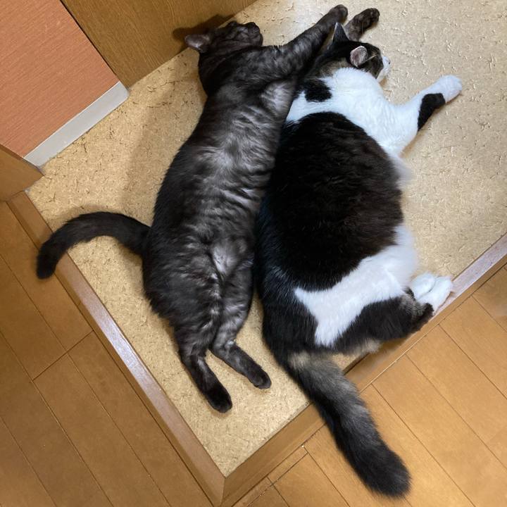 B8cdfe95 0f57 4c15 8267 833531d629f6 1711259109852