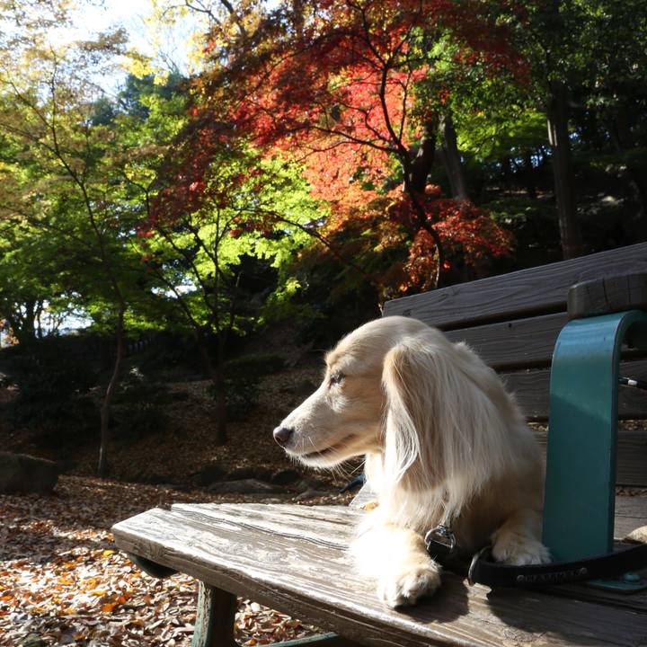 B8ce0885 394f 4461 9947 3304226231e5 1512298399449