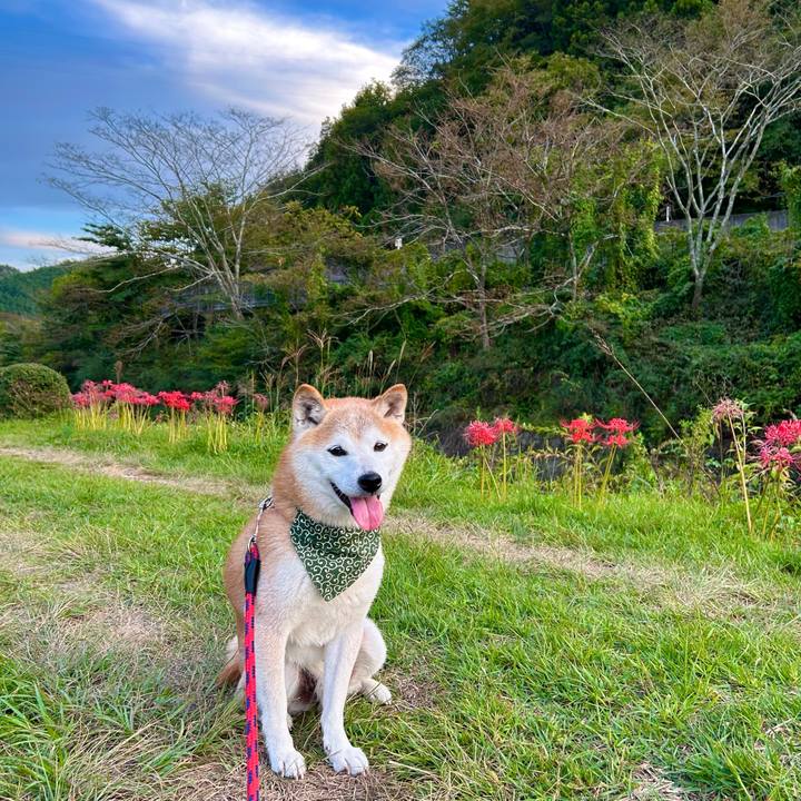 B8ce0b22 cd78 47e2 b097 ac162e4cd026 1759396228395