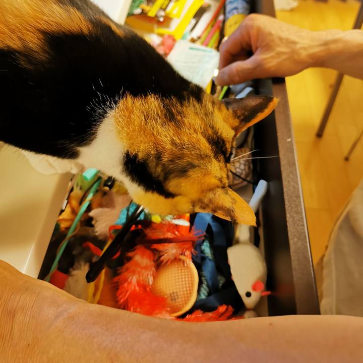 B8ce0ff2 6b42 4377 a5cb 50abb6a543ac 1655868573003