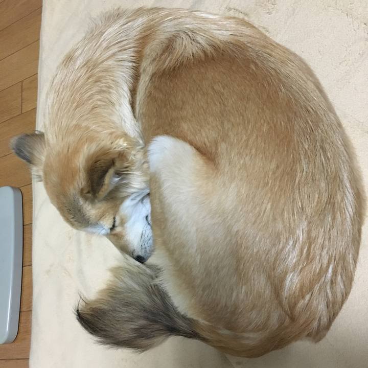 B8ce1a41 4d7d 4b18 990f e9ff2dd6208b 1512654449023