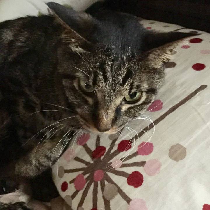 B8ce1fd7 94d2 44da 8bb7 d5f43f877654 1534400913472