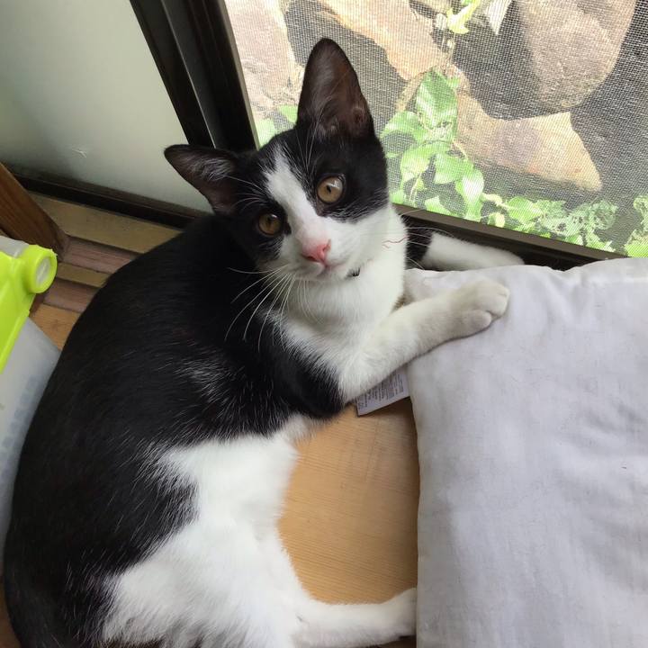 B8ce51bd eedb 4b01 9d64 5a01b3ba09e8 1629453630031