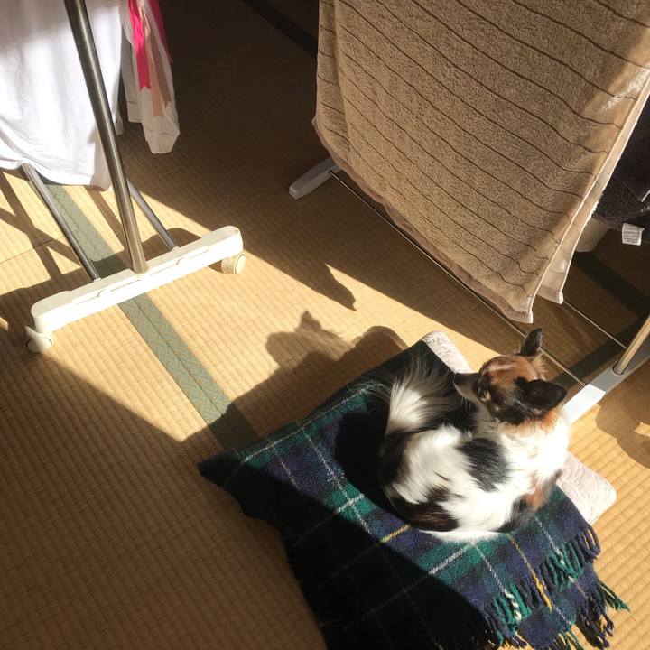 B8ce8a31 0179 4355 b8ee 9f728c8e1782 1546484832979