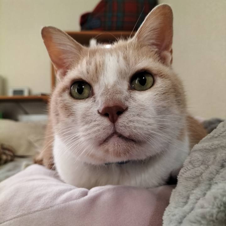 B8ceb415 375e 458e a68c a2b5cceb141a 1638599129875