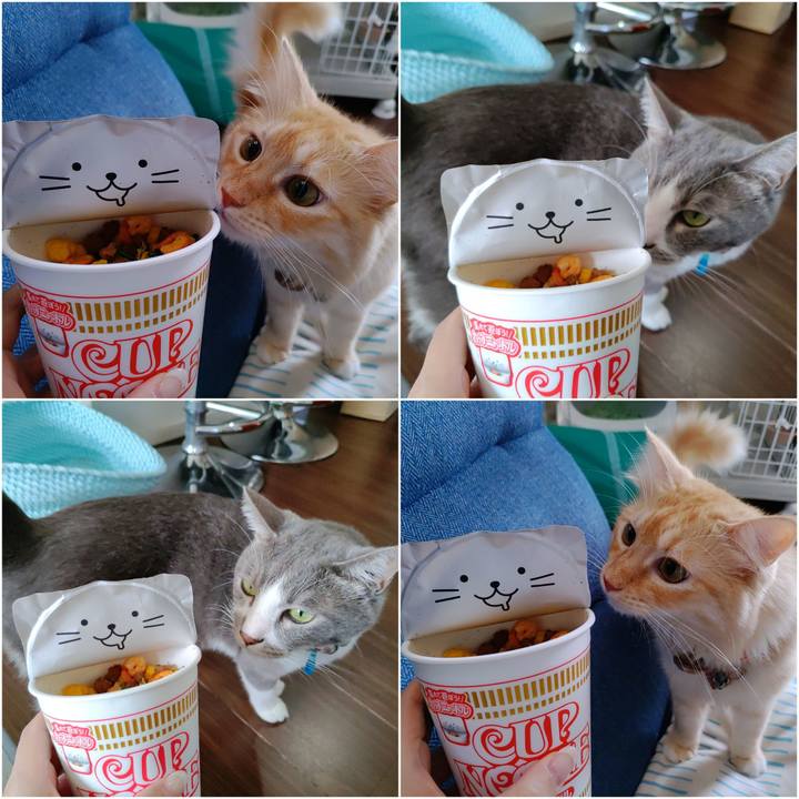 B8ceb7bc 1daf 4fbe 99a9 bdb4ec5ab40c 1694928077965