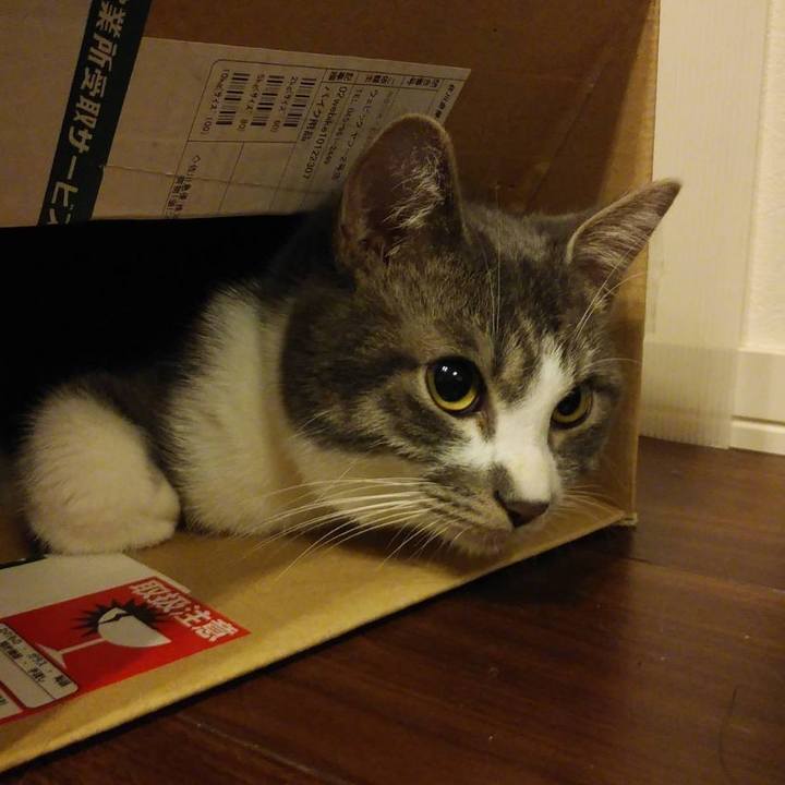 B8cee6b5 3ee1 44d4 a190 9b02e275396d 1576939098630