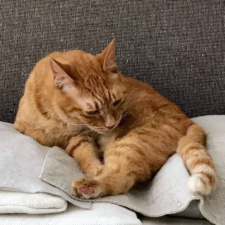 B8cee6c8 0107 43db b137 bab0578a023f 1559524703804