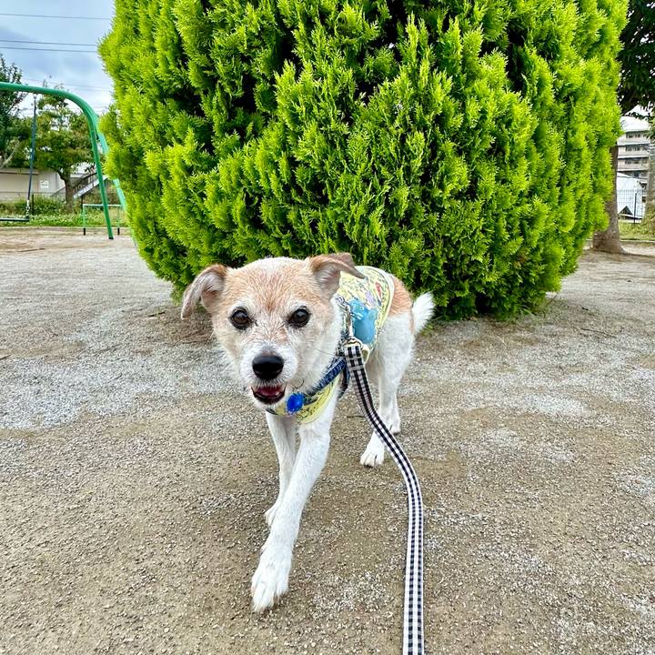 B8cee810 3d54 4872 a70a 008f31964e4e 1719272706745