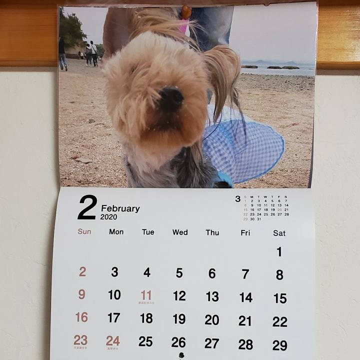 B8cef697 dc4c 479f a196 c287b534a943 1580518375803