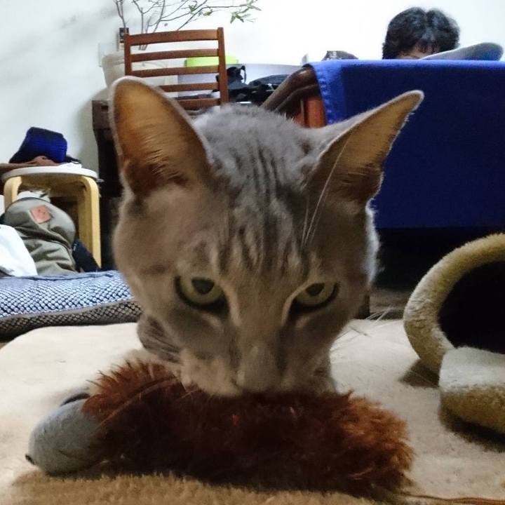 B8cf02ea 724b 4327 add3 9237b65ba97f 1578836666159