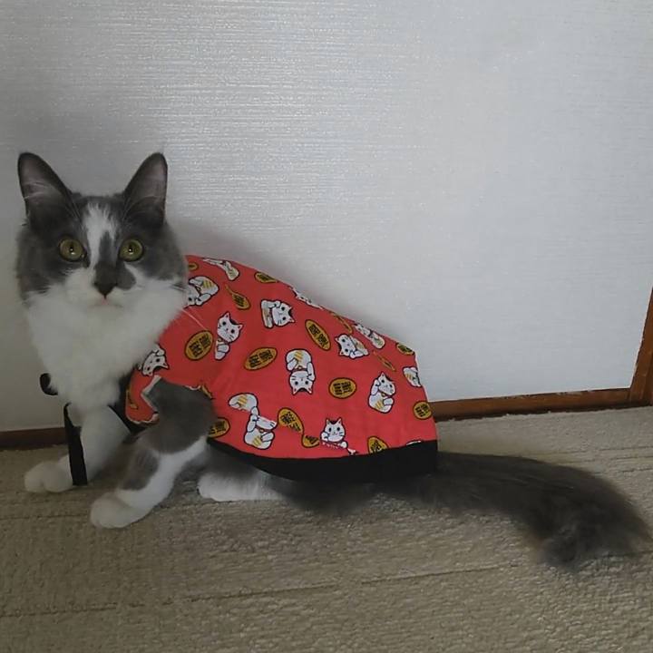 B8cf063d 0176 4d1f 8cac d48bc54f3ebf 1573362752343