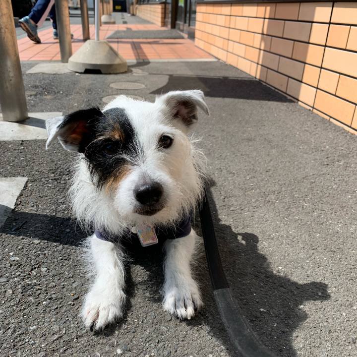 B8cf080d b022 4dfd af38 152091ea7071 1651970617094