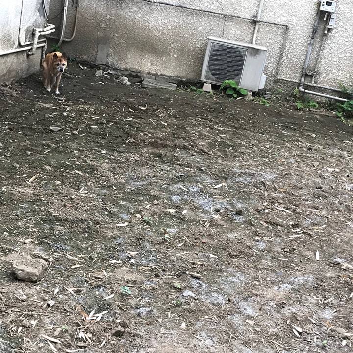 B8cf2e06 debc 42e2 8364 abd838410f41 1557786813838