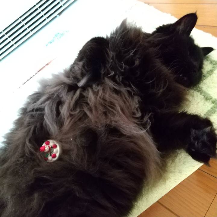 B8cf319a d2b0 43dc a2bf 1d3d38185bd9 1608851795341