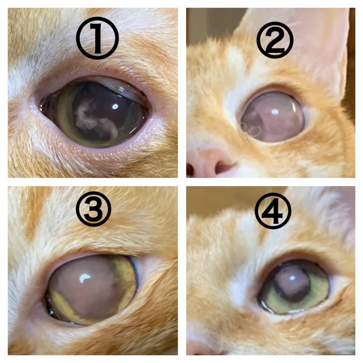 B8cf5273 bcf8 45d8 9c15 09906a83606e 1607819119202