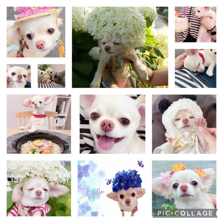 B8cf61ca 8de1 4a17 af67 ea465003feec 1697361778563