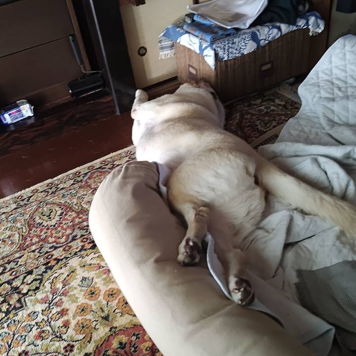 B8cf8cf9 26cf 41af a158 cf77e62ae525 1757221740525