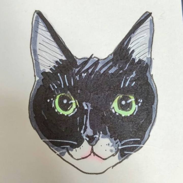 B8cf92d7 22f9 4335 a130 1824aa37250e 1612760935565