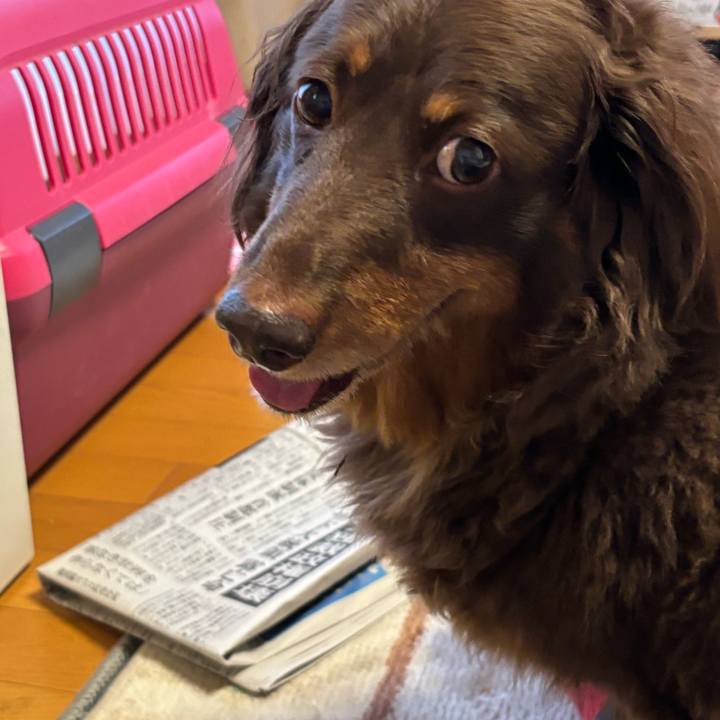 B8cfb43e 3ef0 4101 aae7 db55a42ccee6 1733783696512