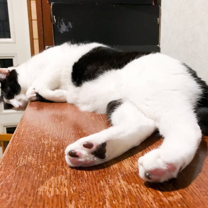 B8cfb8fd 3efc 4dfa 8d43 a196879289e3 1523026185130