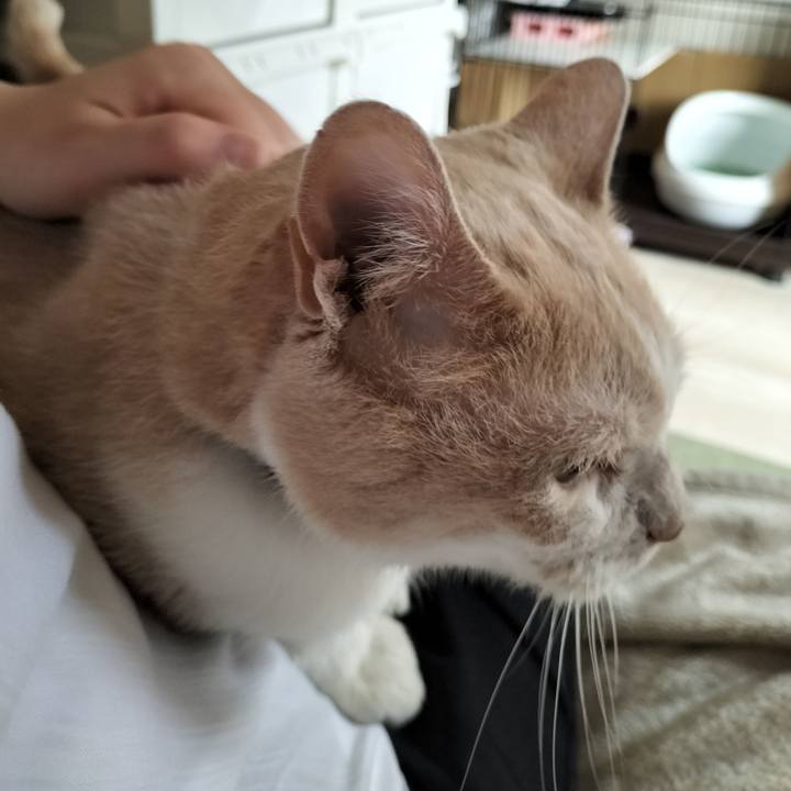 B8cfd678 4918 417b a424 be284d04dd7d 1653517213523