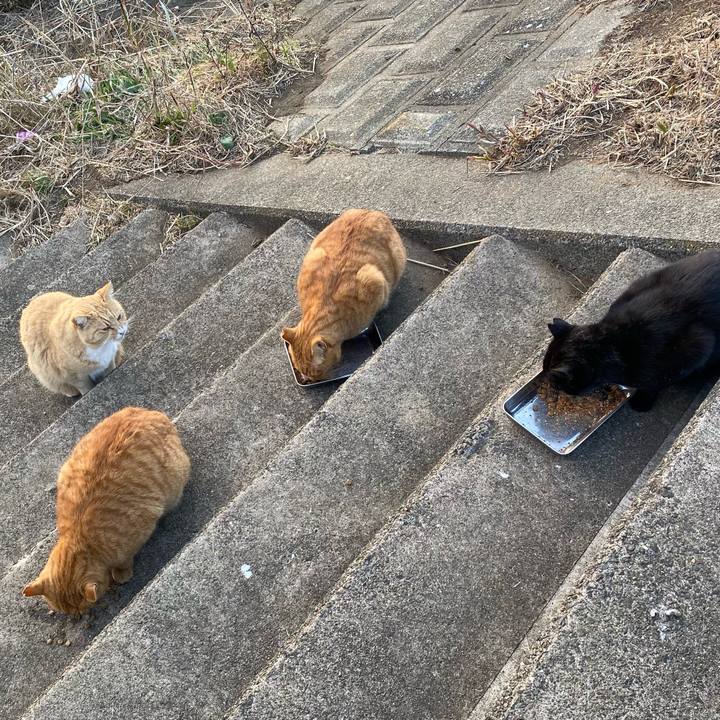 B8cffce5 d826 4e29 8bd2 360b132daae2 1766592579147