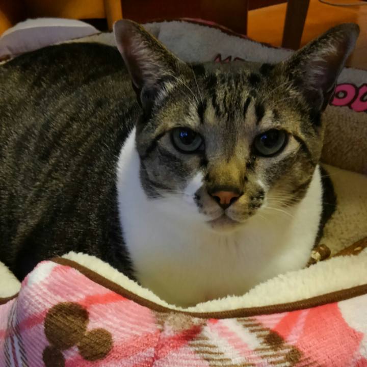 B8d03f04 6e79 4a35 9cd2 21a42e661ed2 1512430182702