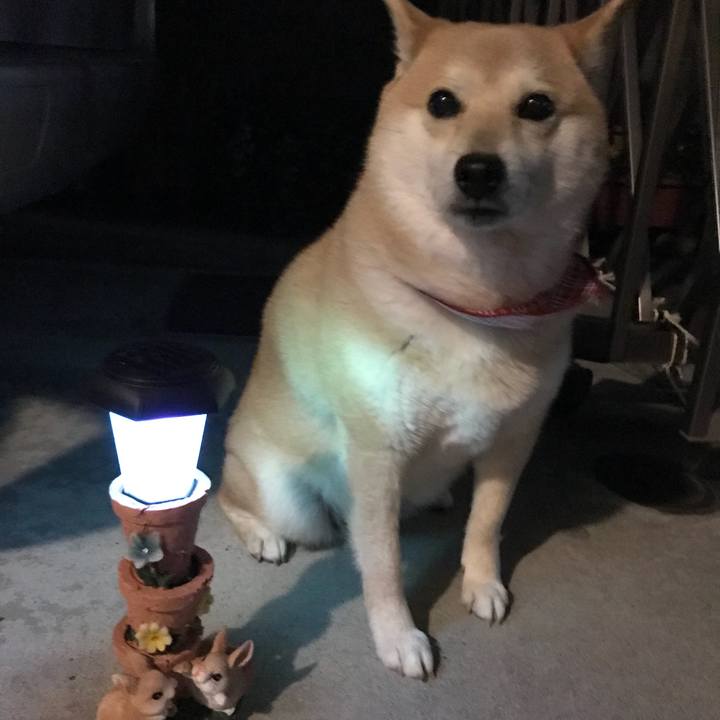 B8d0579d 0372 4018 b69f aa8d8fd56a74 1521424724770