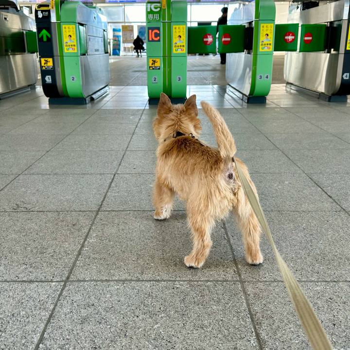 B8d08c01 32e1 4113 a700 ca6da2f61427 1710450982730