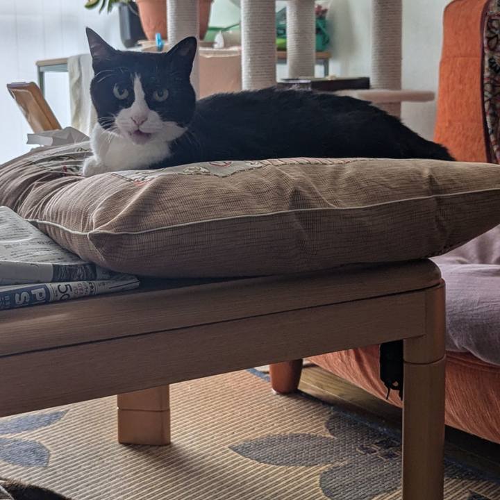 B8d091c9 7378 4c34 9ffd 37cc65f7d436 1719556153168