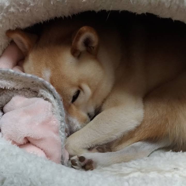 B8d0abf0 f74d 4629 a70e 1f2facb5d572 1607133478677