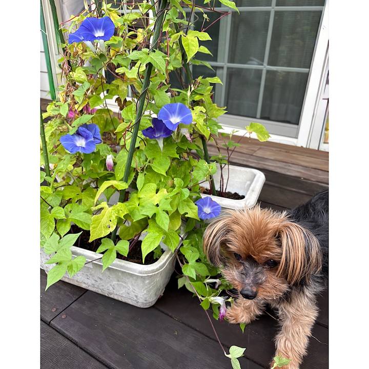 B8d0d02b c900 4e03 9d22 d3e6af3686f4 1757627495743