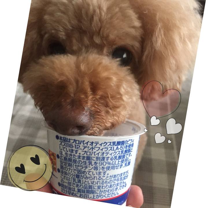 B8d0f10c d801 4d6f 85a2 e23fe340e7b2 1530222700348