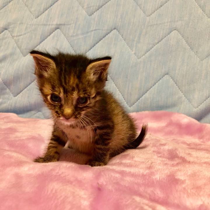 B8d10524 2666 4183 9864 cb1a5a7cc6c4 1556851914507