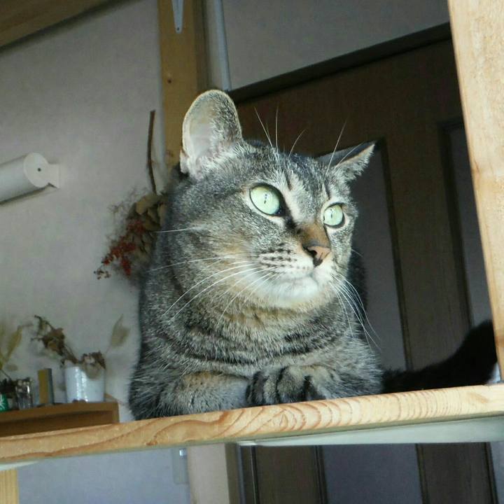 B8d11db2 9aa0 49f2 b31e 6473dd360a3d 1569200345085