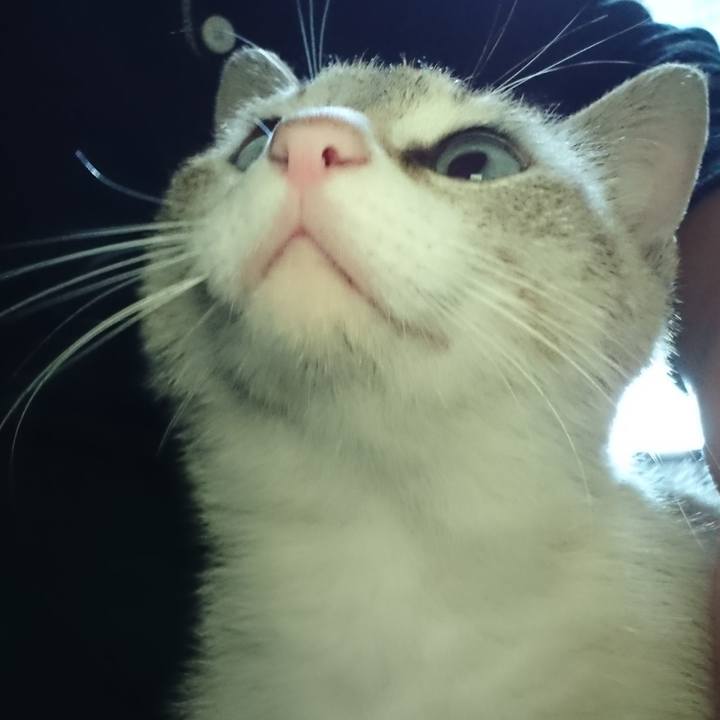 B8d1275b 7ada 49e9 99d8 2c4e764cced5 1526311844943